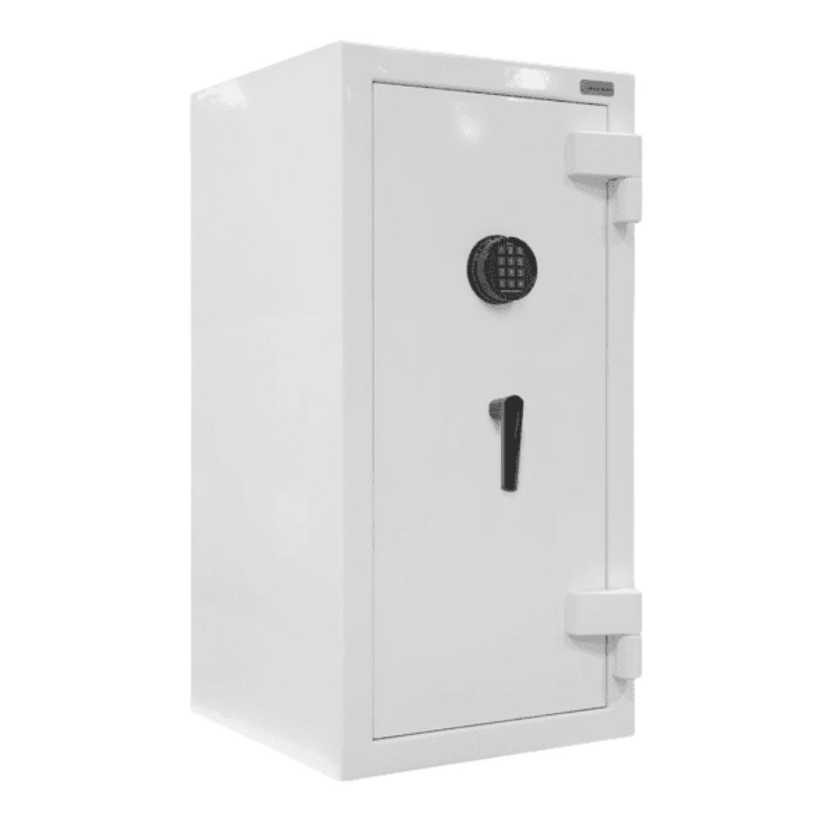AMSEC | JS Jewelry Safe | 30 Minute Fire Protection