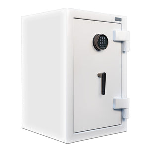 AMSEC | AM Home | 3020 Plus | Level 4 Security | 45 Minute Fire Protection